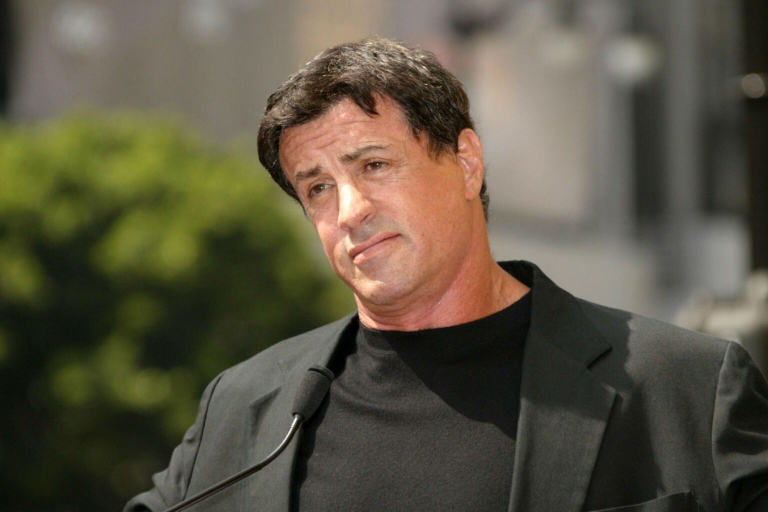 Seargeoh Stallone Bio, Affairs, Career, Net Worth, And Personal Life